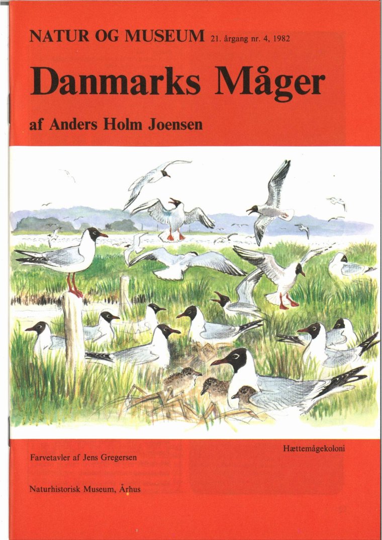 Danmarks måger